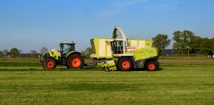 Van Dijk Hoogland
