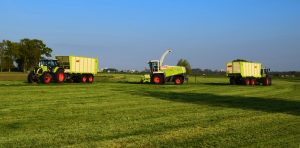 Van Dijk Hoogland